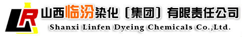 山西临汾染化（集团）有限责任公司